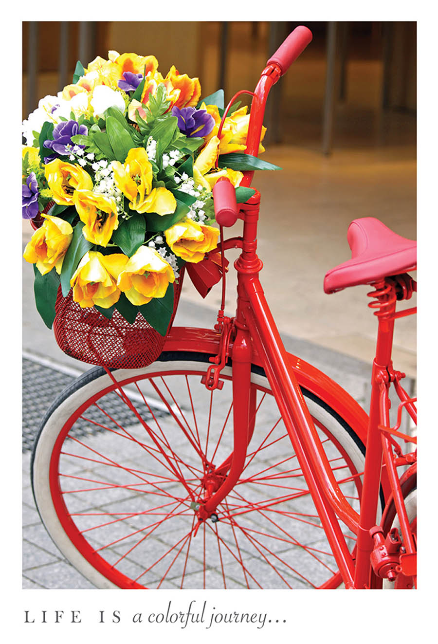 Painted Red Bicycle.indd